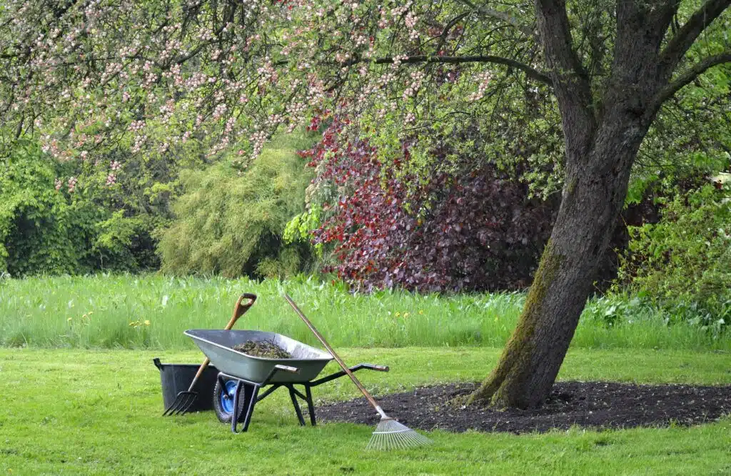 entretien de votre jardin