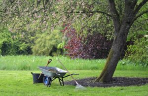 entretien de votre jardin
