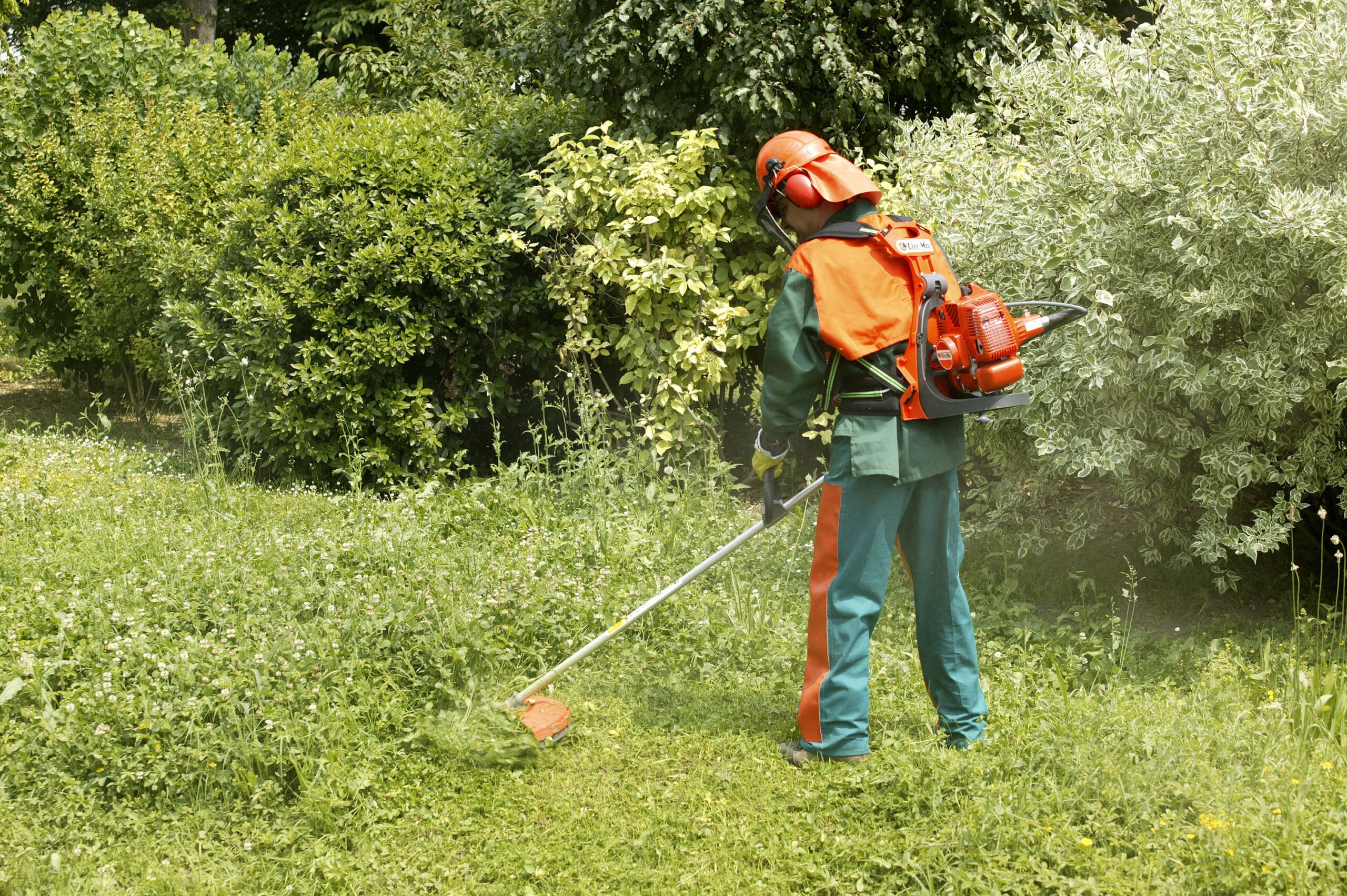 Lire la suite à propos de l’article Débroussaillage écologique: entretenir votre terrain sans produits chimiques