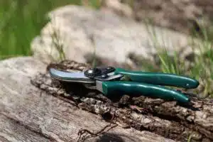 Lire la suite à propos de l’article Pourquoi confier son jardin à un élagueur local ? Profitez d&rsquo;un service rapide en Gironde